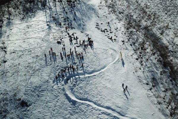 Кракен даркнет форум